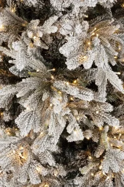 ALBER BERKSHIRE INN H240-6428R 2500L