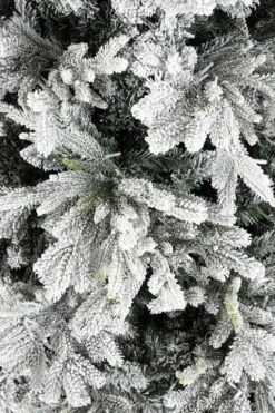 ALBER BERKSHIRE INN H210-4943R 1900L