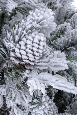 ALBERO ARVES INNEVATO H210-1936RAMI