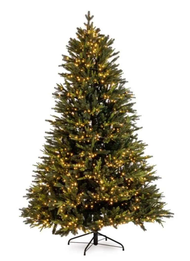 ALBERO BERKSHIRE H240-7456RAMI 2500LED