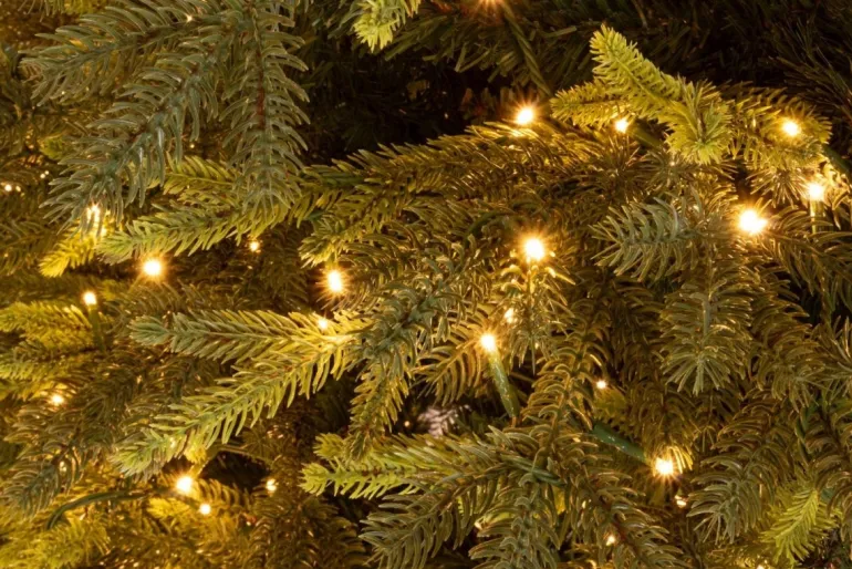 ALBERO BERKSHIRE H240-7456RAMI 2500LED