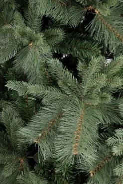 ALBERO HUBBARD H180-1711RAMI