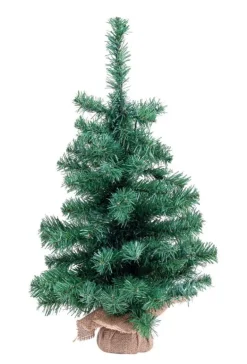 ALBERO INNSBRUCK H60