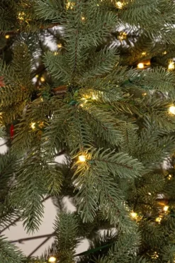 ALBERO MUIR H210-3431RAMI 1000MICROLED