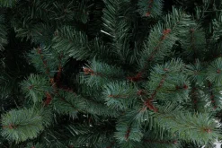 ALBERO SERRONE GLAUCO H180-1068RAMI