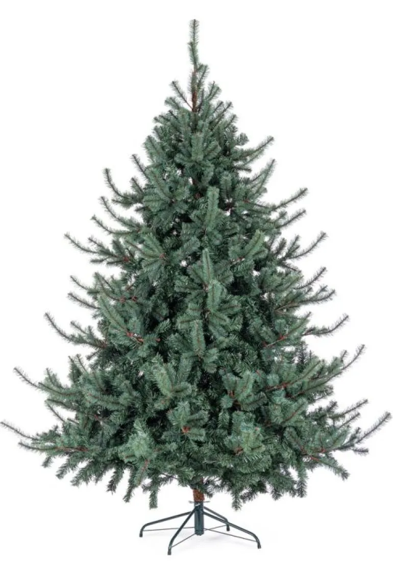 ALBERO SERRONE GLAUCO H240-2322RAMI
