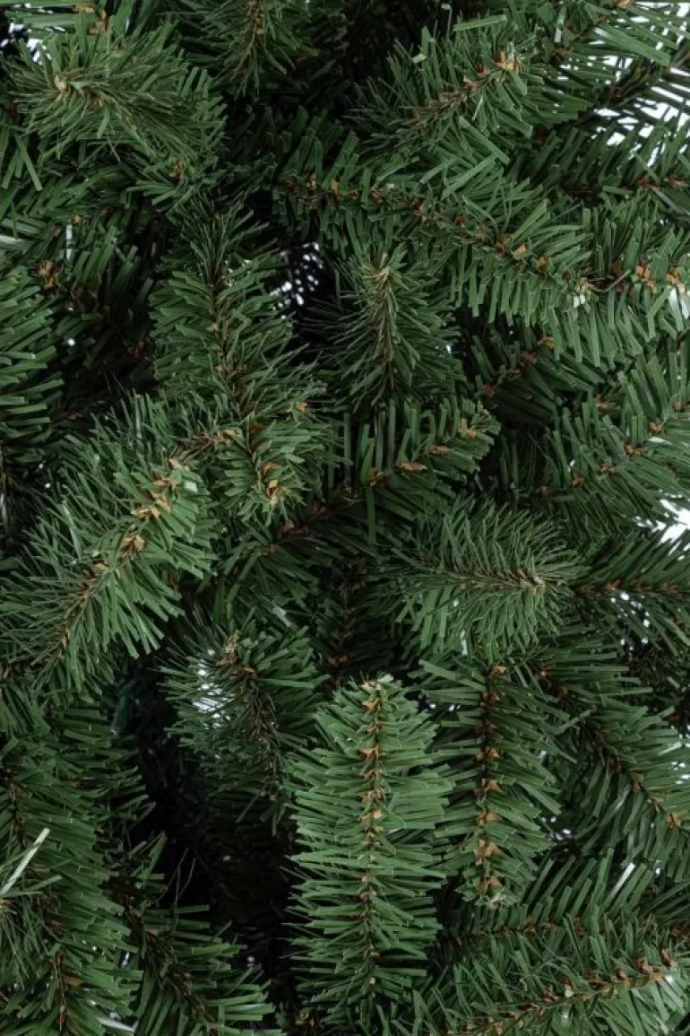 ALBERO SLIM KRONPLATZ H210-963RAMI