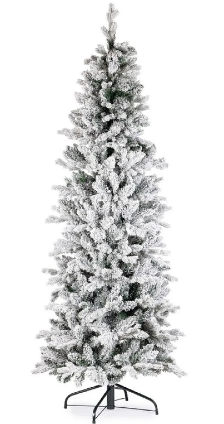 ALBERO SLIM TATLOW INN H150-821RAMI