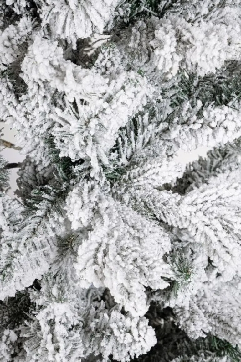 ALBERO SLIM TATLOW INN H150-821RAMI