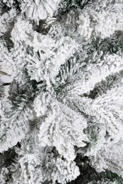 ALBERO SLIM TATLOW INN H180-1055RAMI