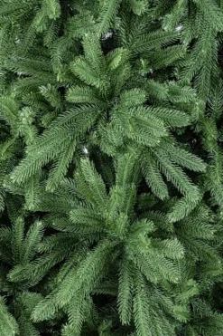 ALBERO TIROLO H240-1270RAMI