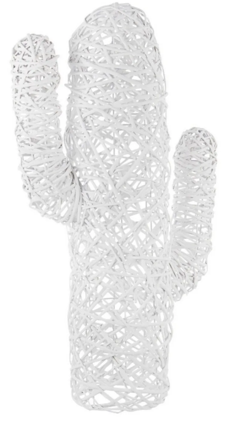 CACTUS MEXICO BIANCO H88