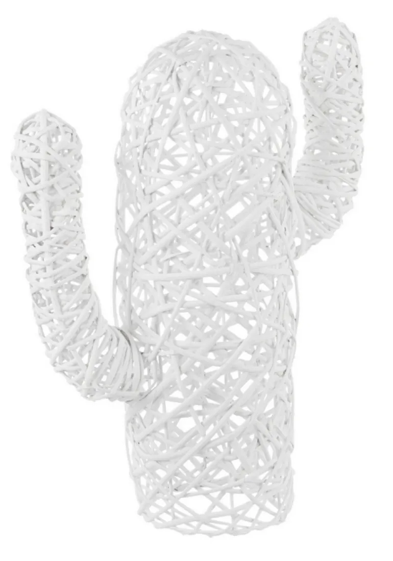 CACTUS MEXICO BIANCO H55