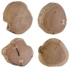 DECORAZIONE PARETE ENEAS ASS4