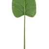 FOGLIA CALLA TOMMY VERDE H115CM