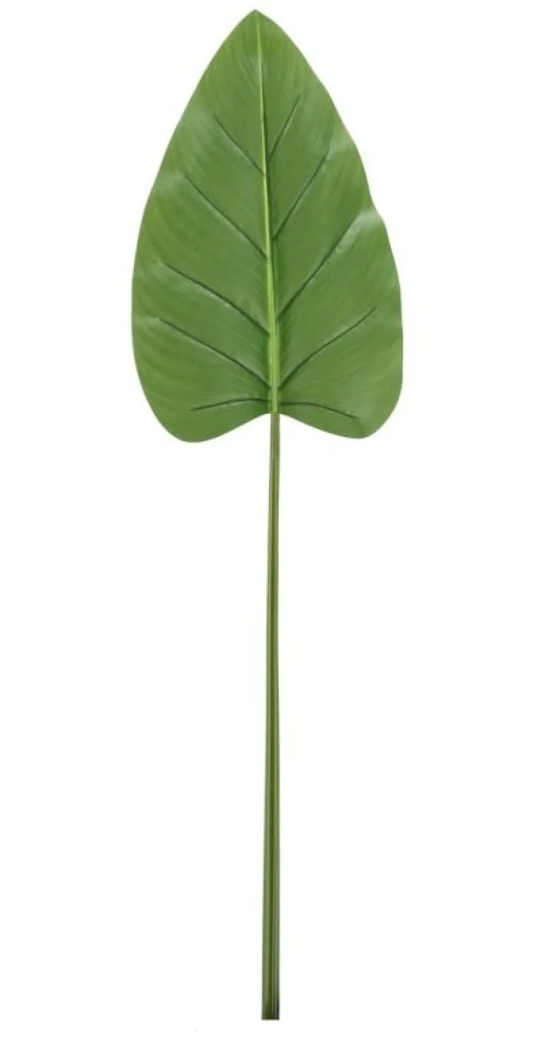 FOGLIA CALLA TOMMY VERDE H115CM