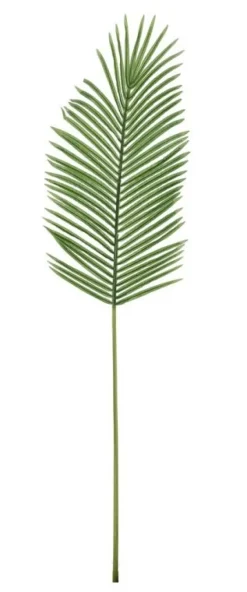 FOGLIA PALMA PHOENIX VERDE H140CM