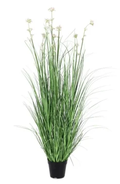 PIANTA ALLIUM C-VASO H110