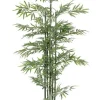 PIANTA BAMBOO C-VASO H190