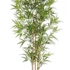 PIANTA BAMBOO C-VASO H155CM