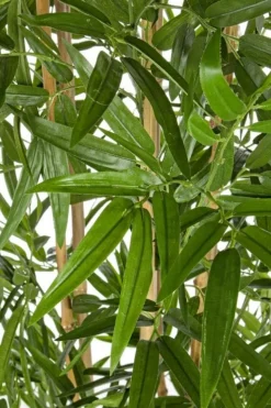 PIANTA BAMBOO C-VASO H185CM