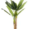 PIANTA BANANO C-VASO 14FOGLIE H135