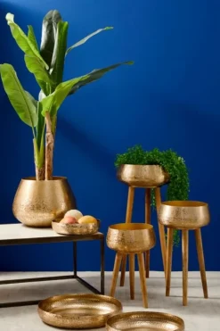 PIANTA BANANO C-VASO 14FOGLIE H135