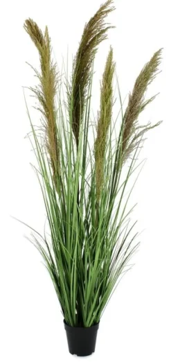 PIANTA CARINE PAMPAS VERD MARR C-VA H145