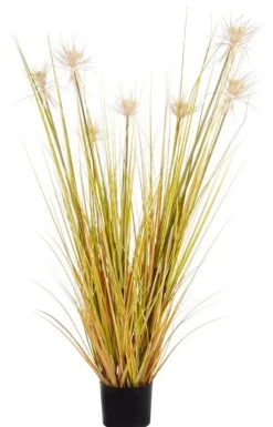 PIANTA DESERTO PAGLIA C-VASO X7F H120