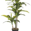 PIANTA DRACANEA C-VASO 43FOGLIE H88CM