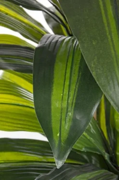 PIANTA DRACANEA C-VASO 43FOGLIE H88CM