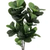 PIANTA FICUS LYRATA C-VASO 72FOGLIE H120