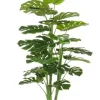 PIANTA FILODENDRO C-VASO 23FOGLIE H120CM