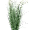 PIANTA GREVILLEA BIANCO C-VASO X9F H150