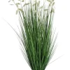 PIANTA GREVILLEA BIANCO C-VASO X7F H120