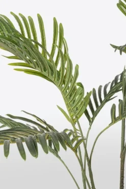 PIANTA KENZIA C-VASO 9FOGLIE H80