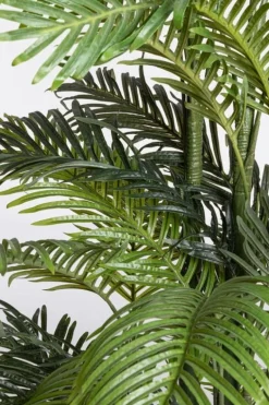 PIANTA KENZIA C-VASO 33FOGLIE H210