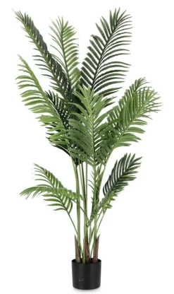 PIANTA KENZIA C-VASO 15FOGLIE H140