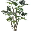 PIANTA MONSTERA C-VASO H210