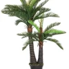 PIANTA PALMA C-VASO 36FOGLIE 2TR H150