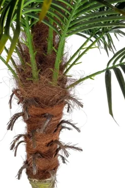 PIANTA PALMA C-VASO 18FOGLIE H210