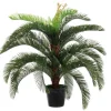 PIANTA PALMA CYCAS C-VASO 30FOGLIE H100