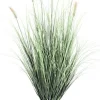 PIANTA PENNISETUM C-VASO H90