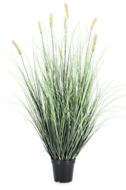 PIANTA PENNISETUM C-VASO H90