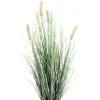 PIANTA PENNISETUM C-VASO H61