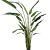 PIANTA STRELITZIA C-VASO 18FOGLIE H310