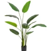 PIANTA STRELITZIA C-VASO 10FOGLIE H150