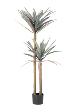PIANTA YUCCA C-VASO 68FOGLIE H128