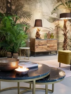 PIANTANA BLUMA NERO H180