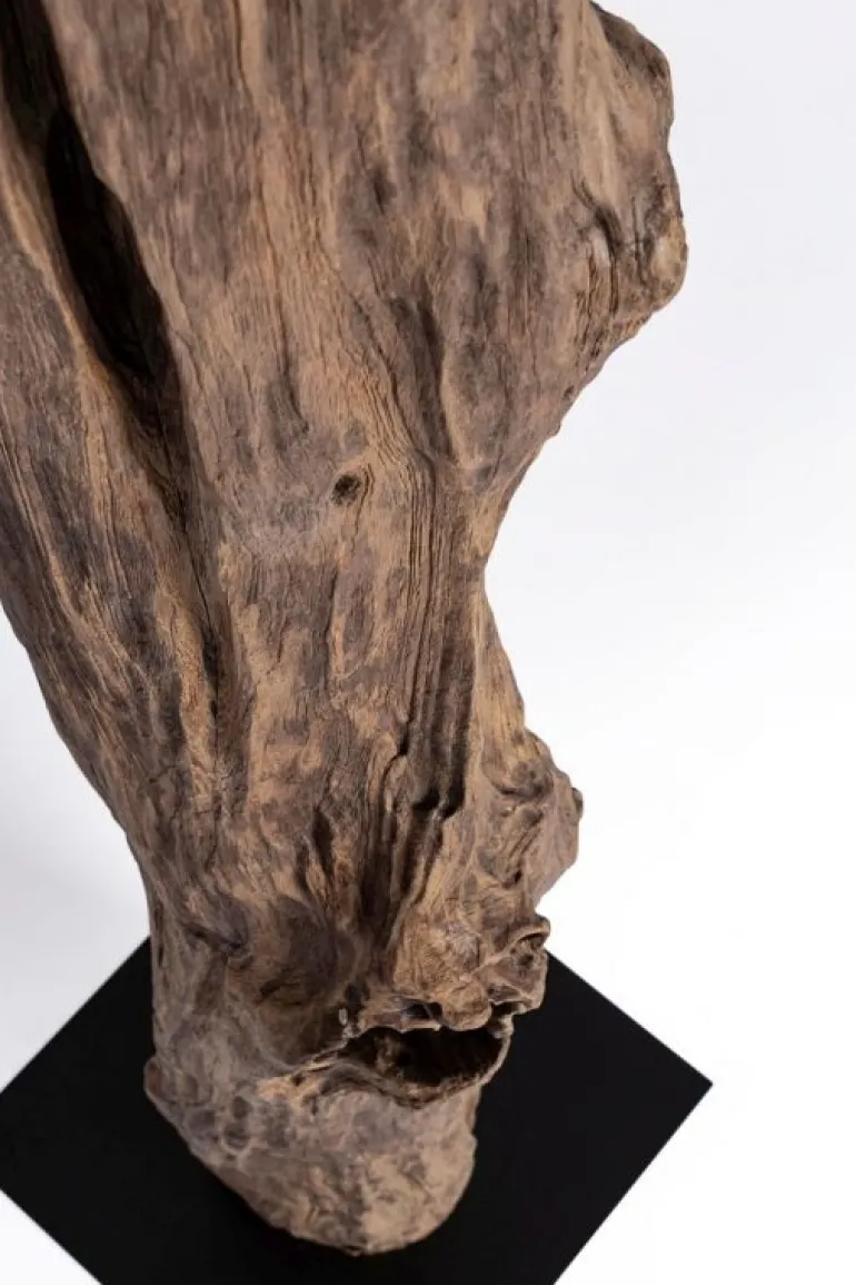 PIANTANA KLETA NERO H180